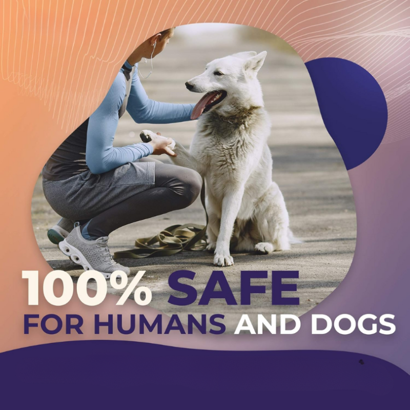 DogFri™ BarkControl: Ultralyd Bark Kontrollere Og Uddannelse Enhed
