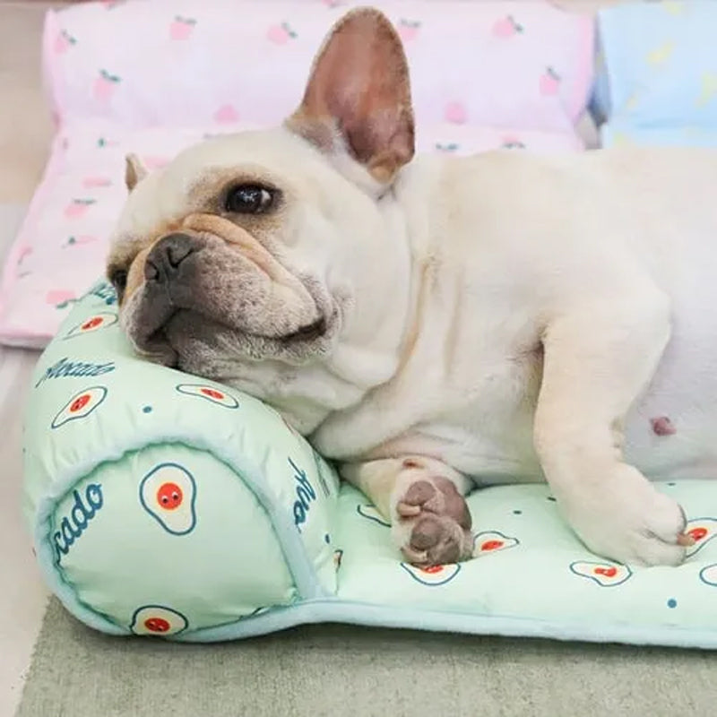 DogCatFri™ CoolMat: Køling Måtte For Hunde Og Katte