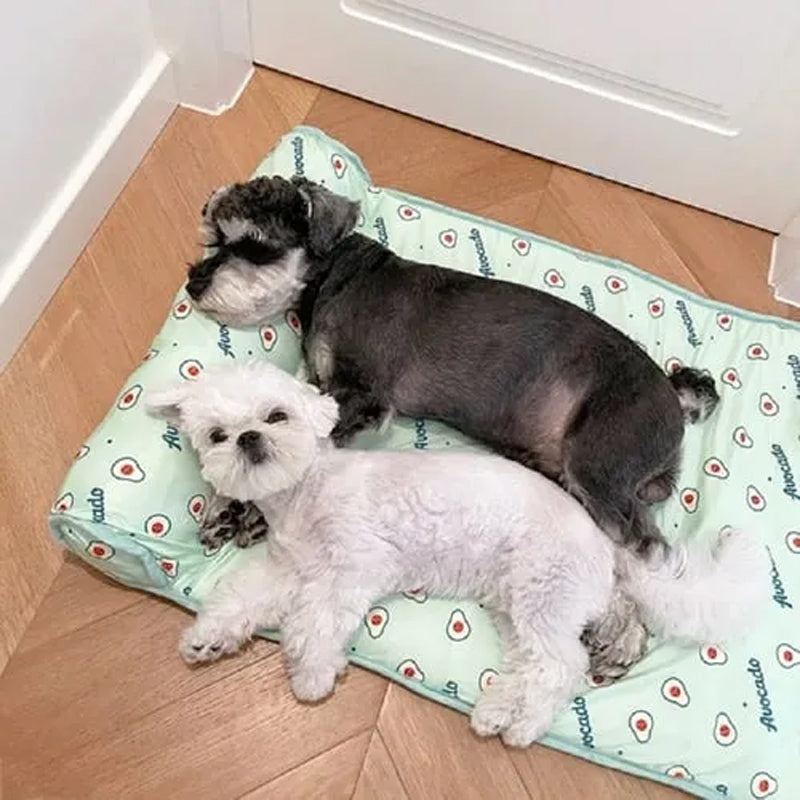 DogCatFri™ CoolMat: Køling Måtte For Hunde Og Katte