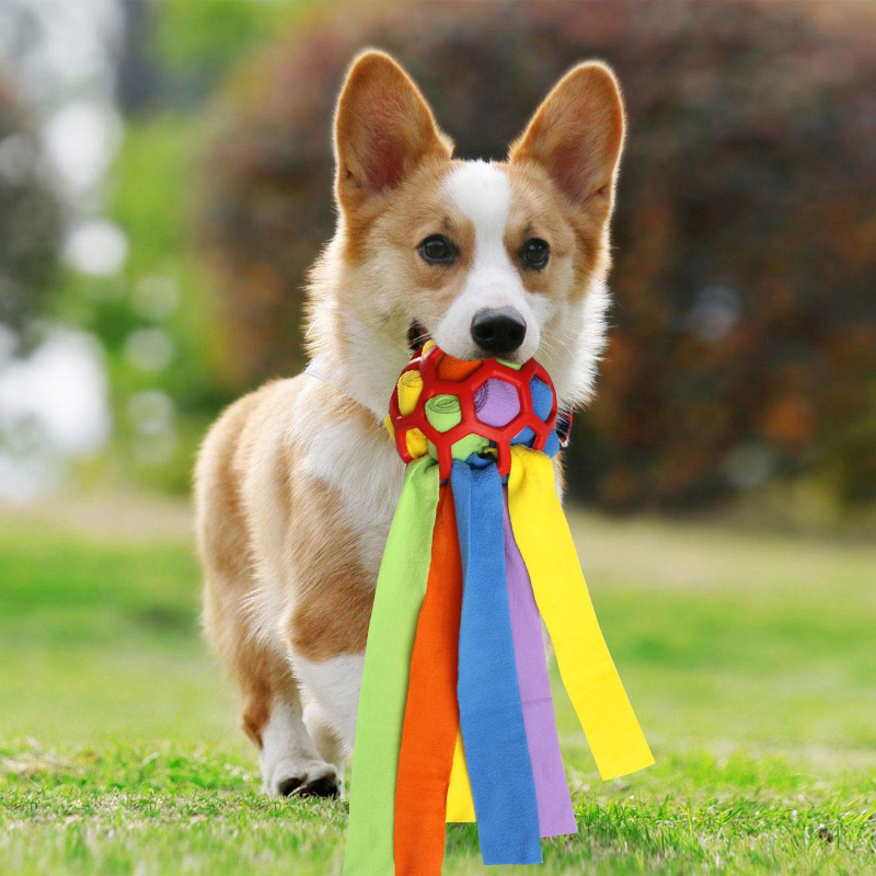 DogFri™ PetPuzzle - Interaktivt Puslespil Kæledyr Legetøj