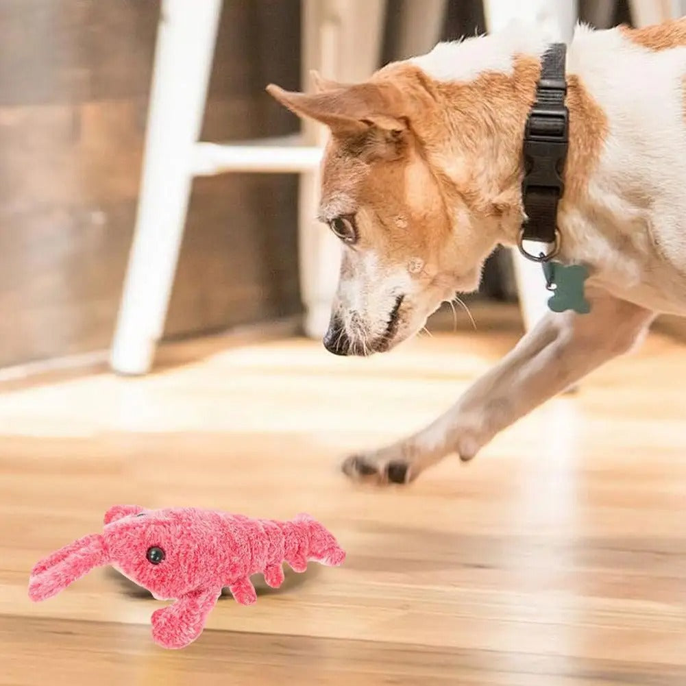 DogCatFri™ PlushToy - Interaktivt Plyslegetøj Til Kæledyr
