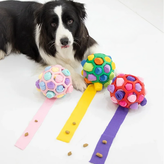DogFri™ PetPuzzle - Interaktivt Puslespil  Kæledyr Legetøj